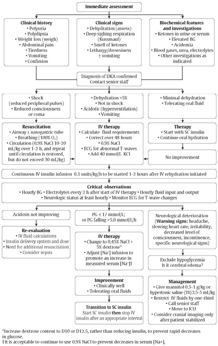 Ch34-Fig1-Immediate-assessment-and-management-of-DKA-in-children