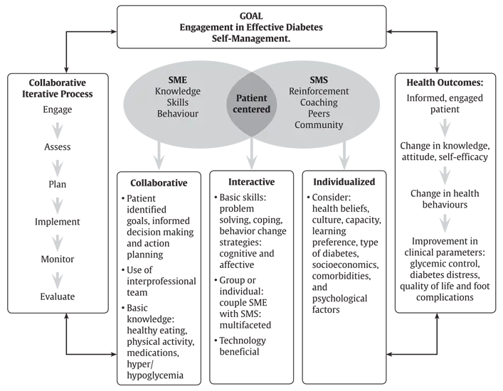 Ch7-Fig1-model-for-SME-and-SMS