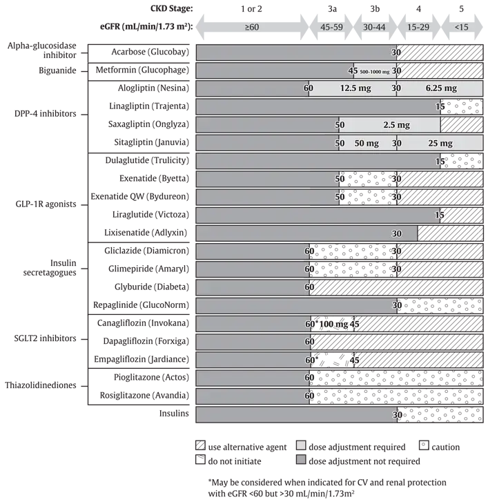 Ch13-Fig2-antihyperglycemic-medications-and-renal-function